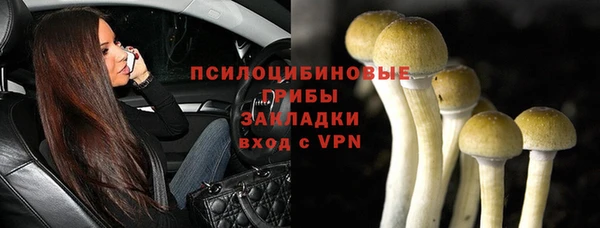 ГАЛЛЮЦИНОГЕННЫЕ ГРИБЫ Алексин