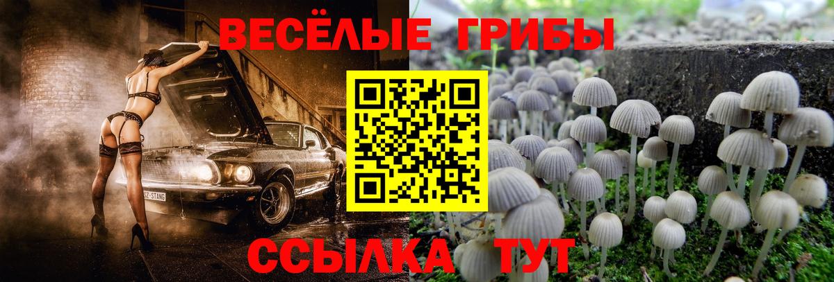 Псилоцибиновые грибы MAGIC MUSHROOMS  Вход с VPN  Галлюциногенные грибы мицелий  Пенза 